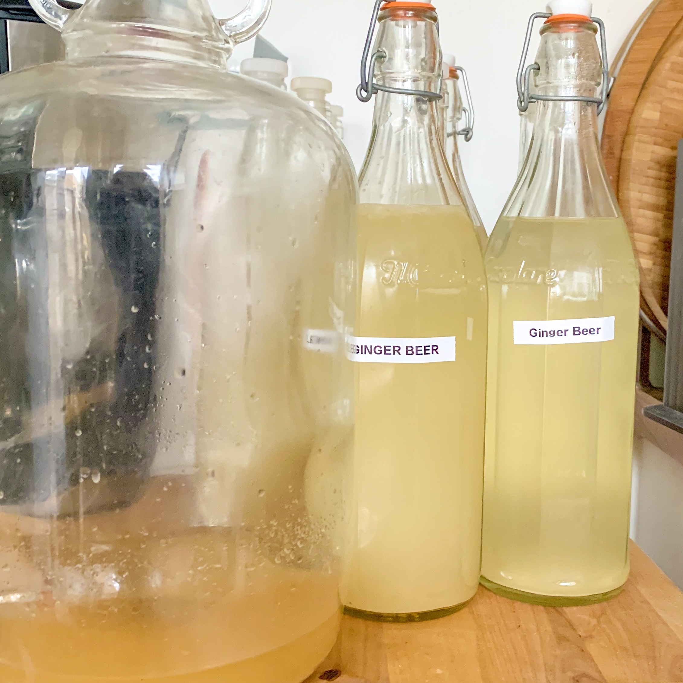 Ginger Plant Starter: how to make homemade ginger beer